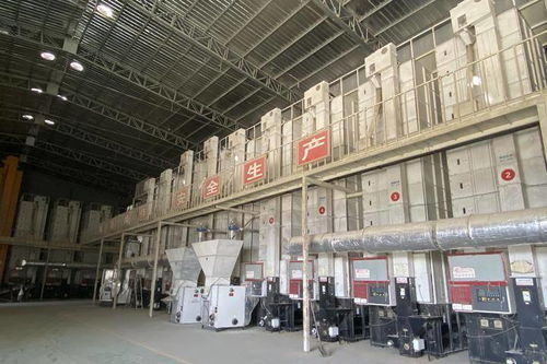 東白農產品品牌建設與市政發展雙輪驅動 產業基地匯聚62家企業展新貌